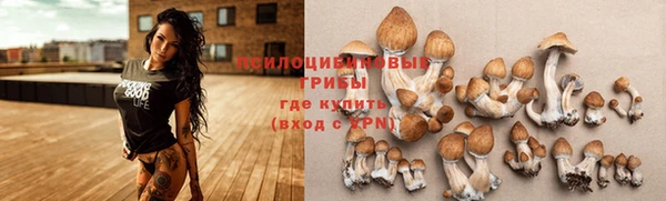 амф Армянск