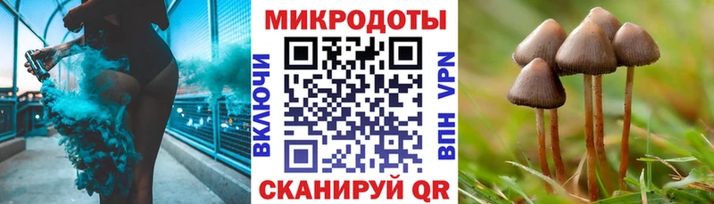 Псилоцибиновые грибы Magic Shrooms  Купить  Алейск 